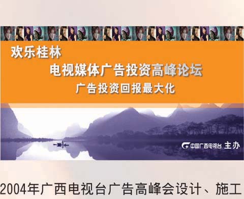 收入证明_广西卫视广告收入(2)